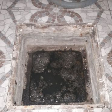 Destapacion de tapa cloacal